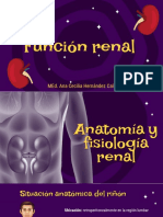 Anatomía y Fisiología Renal