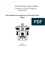 # UNIVERSIDAD DE GUADALAJARA (Diversidad de Macromocetos de San José de Las Flores Por Marcela Hernández) )