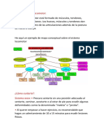 Trabajo Ciencias Locomotor