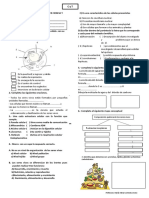 Preguntas de Repaso Del Area de Ciencia y Tecnologia