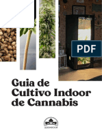 Guia Cannabis 40