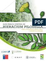 Guía Hieracium Pilosella