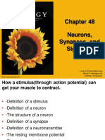 Action Potential MOST RECENT Ch48 - Accessible - Lecture - Presentation
