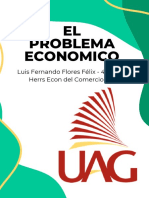 Flores_Félix_EL PROBLEMA ECONOMICO