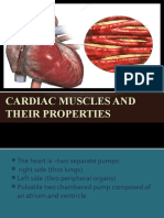 Cardiac Muscle Properties Guide