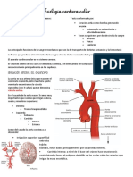 Fisiología Cardiovascular Completo