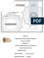 CDP Report-finaL SINDHU Viva