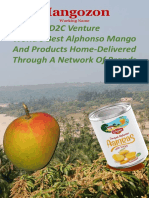 Mangozon Pitch Deck