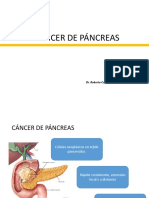 T17 - Cáncer de Páncreas