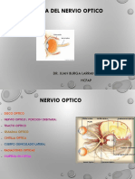 Patologia Del Nervio Optico