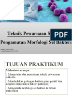 Teknik Pewarnaan Gram Dan Pengamatan Morfologi Sel Bakteri