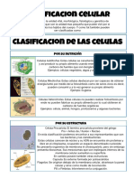 Clasificacion Celular Biologia YCAT