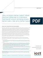 Potential Biofuel Pathways Indonesia BH Apr2021