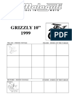 NR.02-CR_Grizzly_10_99