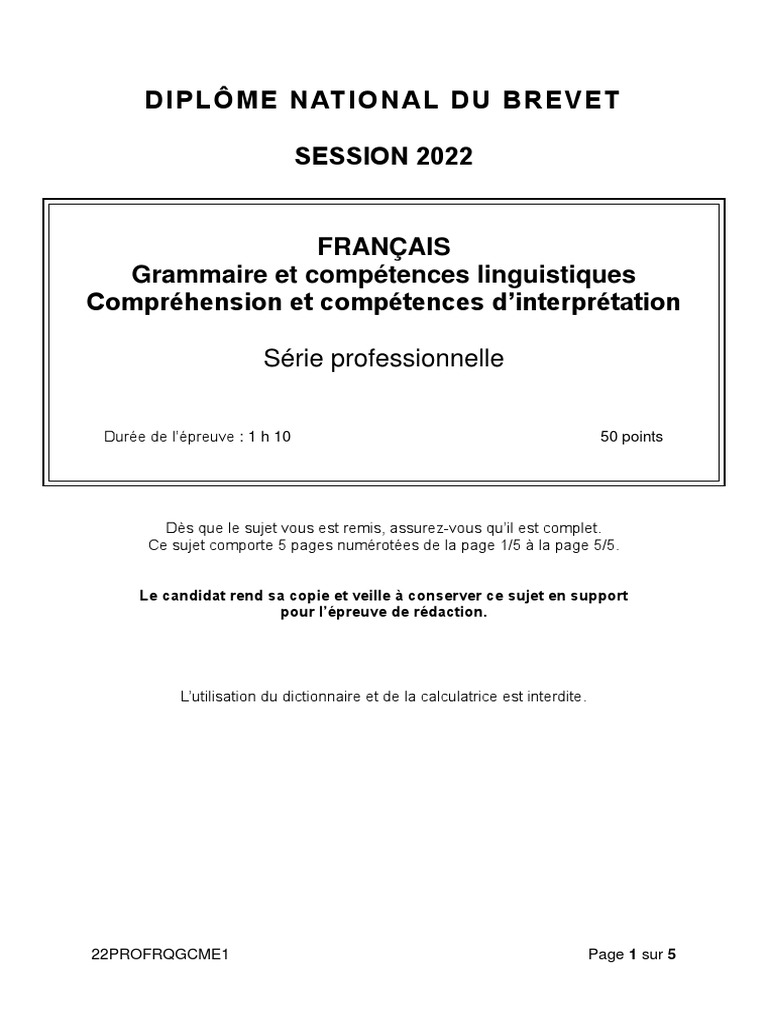 Sujet Brevet Francais 2022 Brevet 2022 Série Professionnelle Français Grammaire Et Compréhension | PDF  | Linguistique