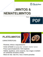 2 Platelmintos Nematelmintos