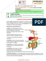 FICHA #29 C y T - V CICLO