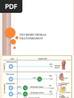 Neurohumoral Transmission, Parasympatholytics, PS Mimetics