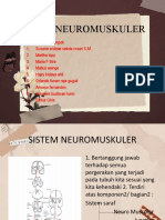 Sistem Neuromuskuler