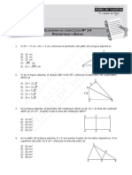 Perímetros y áreas - Cuaderno de ejercicios n° 14