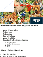 Note of 6. Animal Diversity