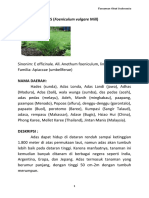 Tugas Buku Tanaman Obat Indonesia - Portrait A5 Di Print A4