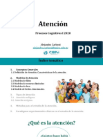 Atención - Procesos Cognitivos - 2020 - 1