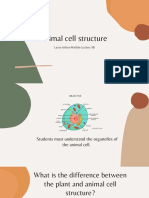 Animal Cell Structure: Laura-Isidora-Matilde-Luciana 8B