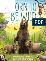 Born To Be Wild - DK