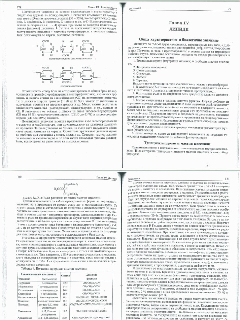 Липиди | PDF