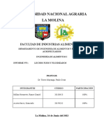 Informe Lechos Fijos y Fluidizados 3