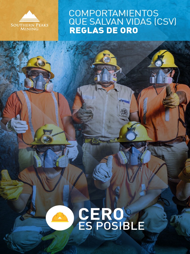 Reglas de Oro para la Seguridad Laboral | PDF | Lavado de manos | Peatonal