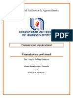 Universidad Autónoma de Aguascalientes: Comunicación Profesional