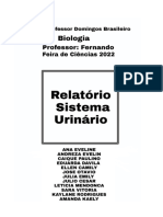 Sistema urinário: funções, doenças e hemodiálise