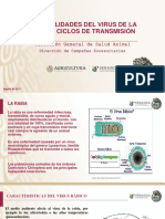 Generalidades y Ciclos de Transm Rabia Curso Honduras Oirsa 2021