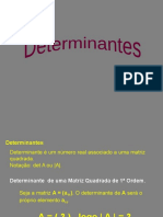 20180310203201-determinantes