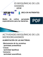 6.actividades Bioquim - de Los M-O