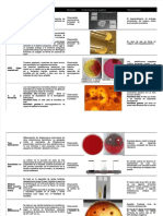PDF Pruebas Gram Fundamento Revelador Control Positivo y Negativo Observaciones - Compress