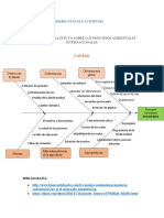 Diagrama Causa-Efecto Sobre Los Principios Ambientales Internacionales