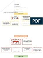 Unidad 1 (Caracteristicas de Las Carnes)