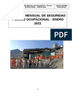 Informe Enero 2022