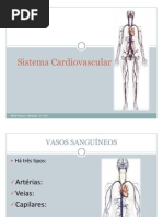 Sistema Cardiovascular