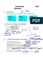 Rev - Notes - ch04 - e Enzymes