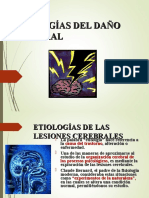 ETIOLOGIAS_DEL_DANO_CEREBRAL