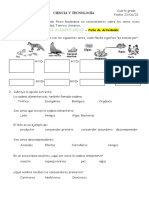 Relaciones Alimentarias - Ficha de Actividades