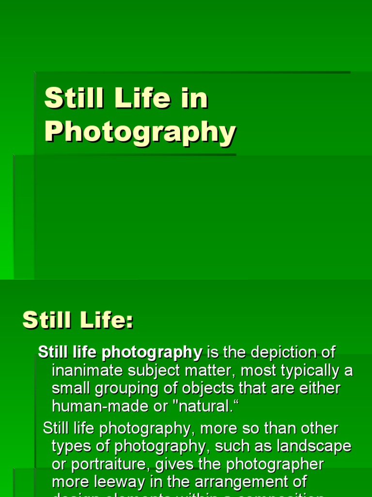 Still Life in Photography | PDF | Visual Arts | Still Life
