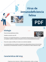 Virus de Inmunodeficiencia Felina
