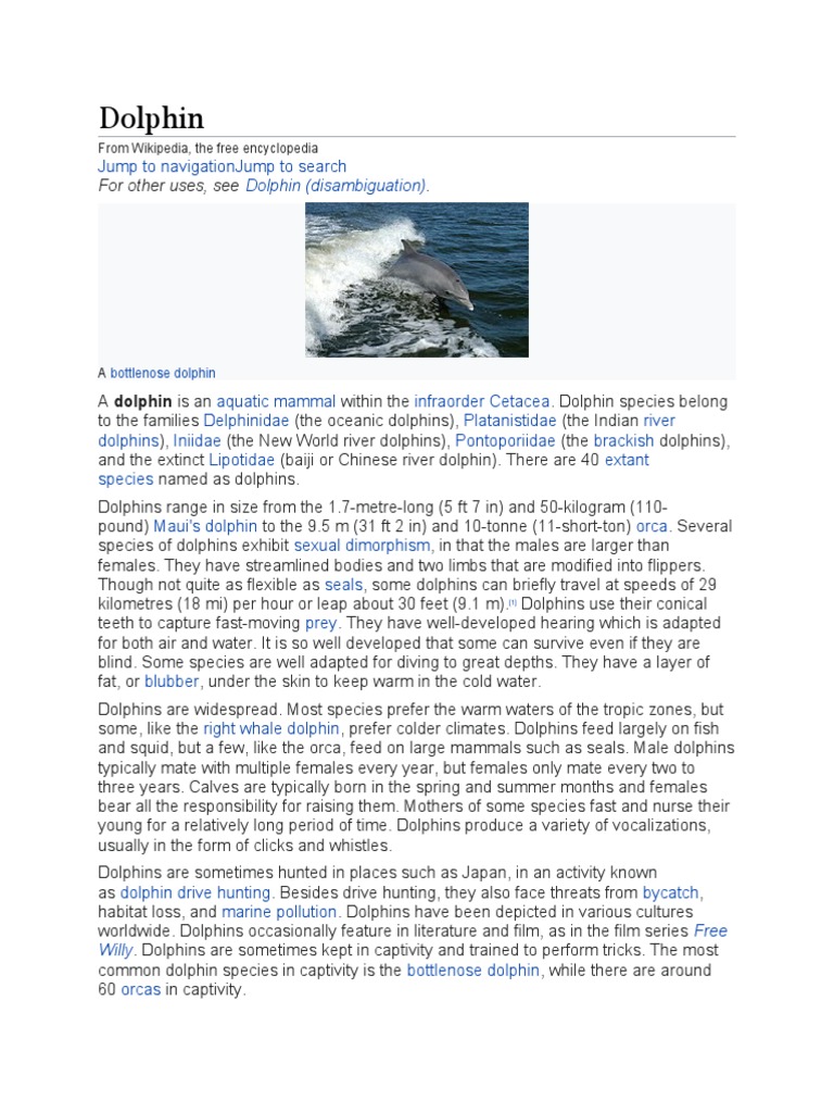 Dolphin For Other Uses See Pdf Dolphin Marine Vertebrates