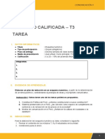 T3 comunicacion 2