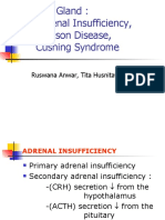 Adrenal Gland: Adrenal Insufficiency, Addison Disease, Cushing Syndrome